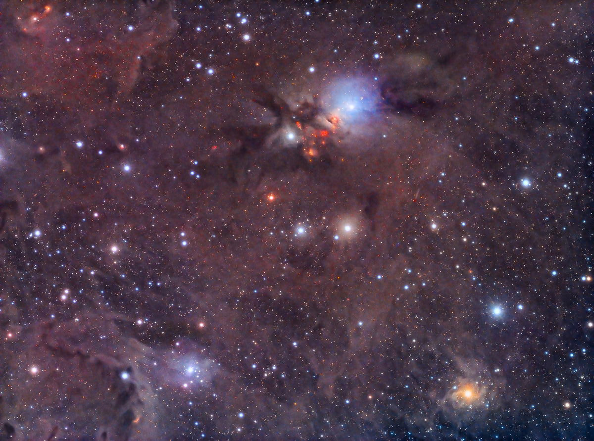 Nuages bruns et sombres entourant une nébulosité bleue brillante dans un champ étoilé de NGC 1333.