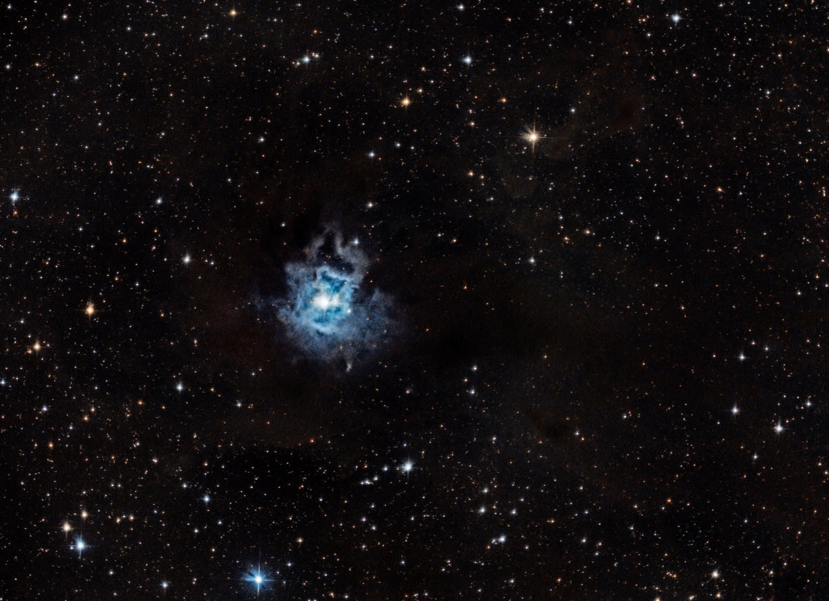 Petite nébuleuse bleue en forme de fleur autour d’une étoile lumineuse, bordée de poussières brunes et sombres.