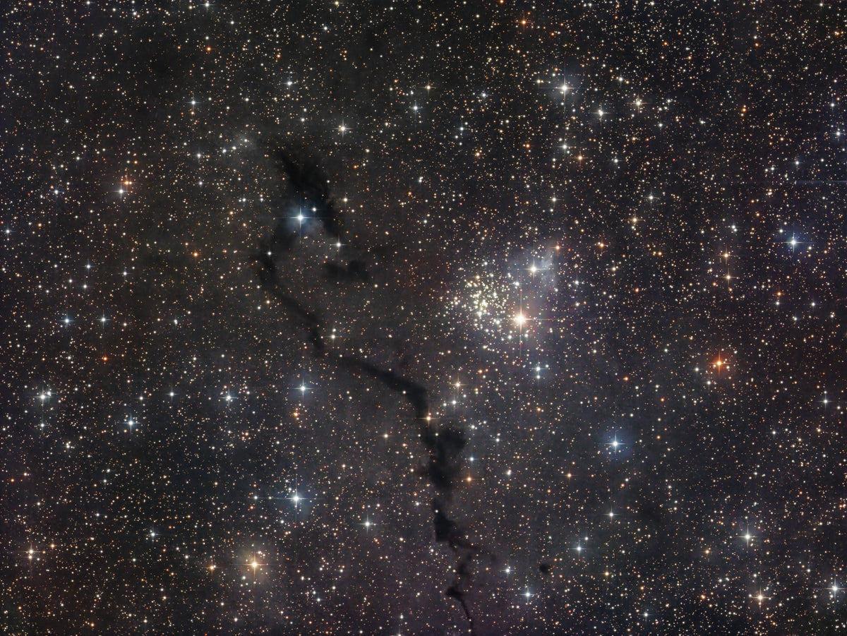 Petit amas d’étoiles brillantes à droite d’un long filament noir dans un champ très riche en étoiles.