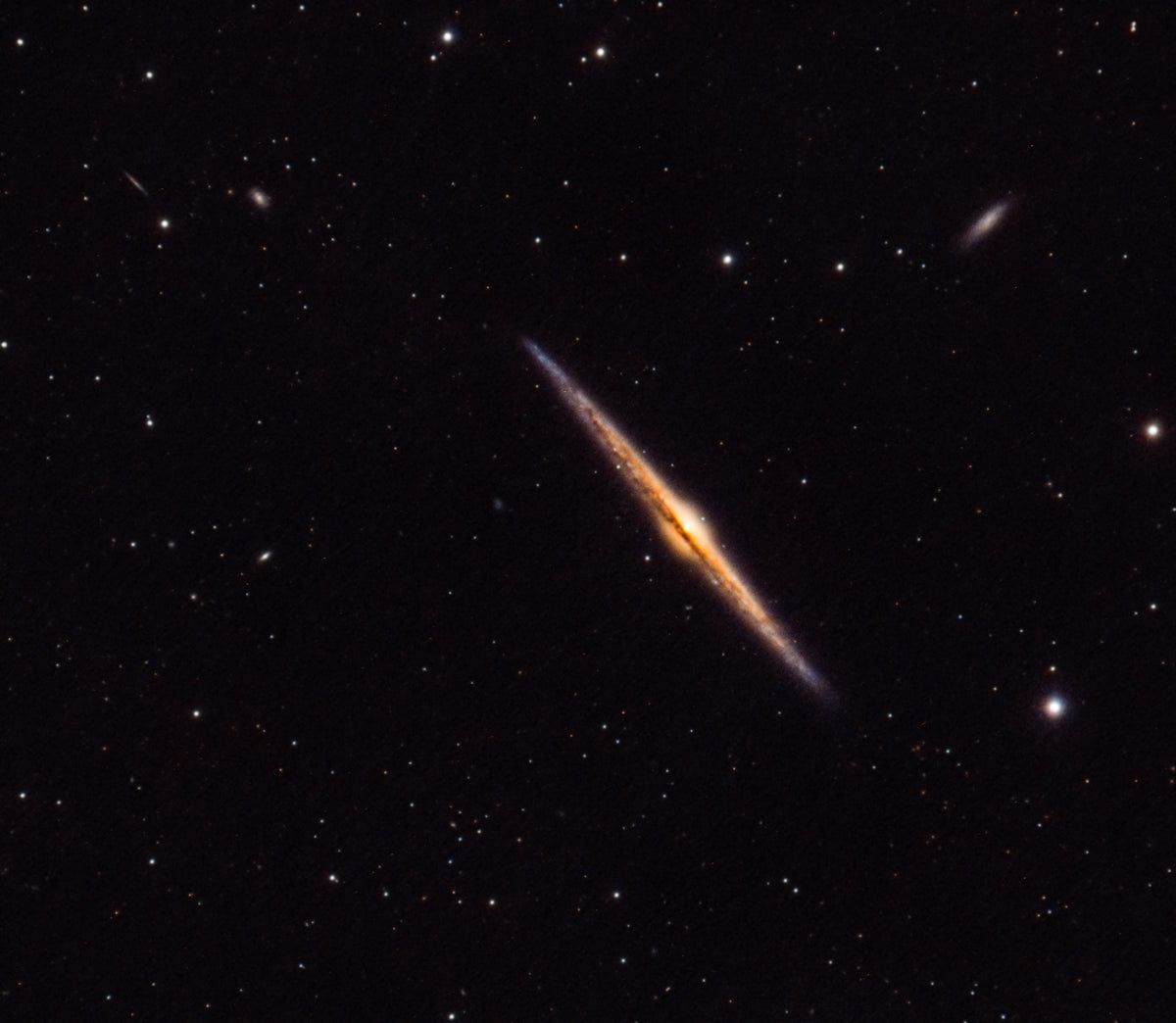 Fine galaxie NGC 4565 en diagonale, avec un bulbe lumineux traversé par une ligne de poussière sombre.