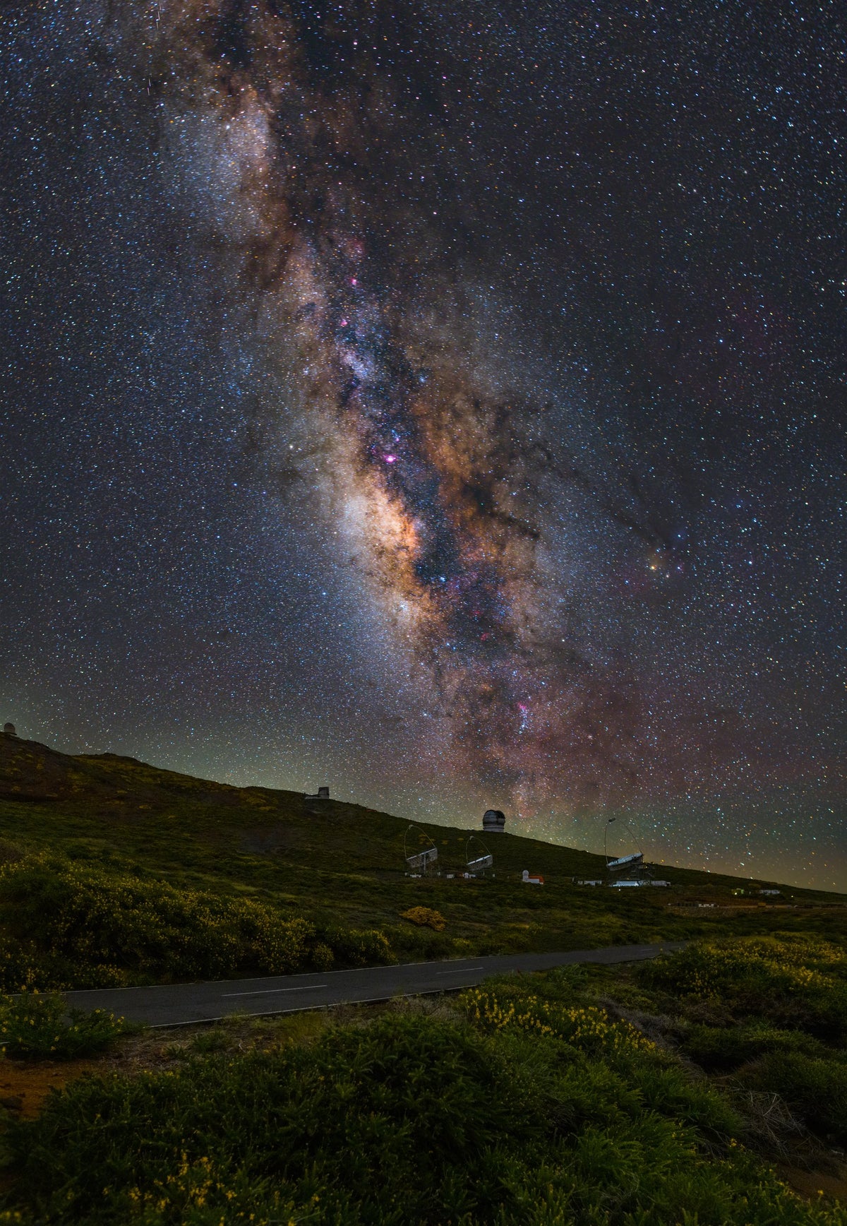 Voie lactée verticale au-dessus d’un terrain herbeux et des installations d’observation de La Palma.