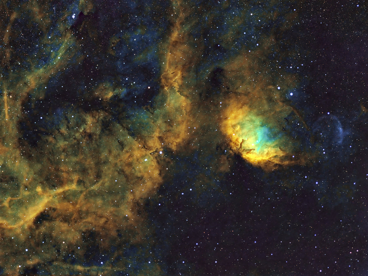 Nébuleuse de la Tulipe aux teintes turquoise et dorées, au milieu de filaments sombres et d’un champ d’étoiles.